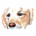 C1: Dog---Parchment(Isacord 40 #1066)
C2: Shading---Harvest(Isacord 40 #1021)
C3: Shading---Sterling(Isacord 40 #1011)
C4: Shading---Charcoal(Isacord 40 #1234)
C5: Nose---Coral(Isacord 40 #1019)
C6: Eyes---Harv