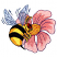 C1: Flower---Pink Tulip(Isacord 40 #1115)
C2: Flower Shading---Heather Pink(Isacord 40 #1117)
C3: Center of Flower---Goldenrod(Isacord 40 #1137)
C4: Center of Flower Shading---Poinsettia(Isacord 40 #1147)
C5: Center of