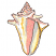 C1: Shell---White(Isacord 40 #1002)&#13;&#10;C2: Shell Shading---Daffodil(Isacord 40 #1135)&#13;&#10;C3: Shell Shading---Canary(Isacord 40 #1124)&#13;&#10;C4: Shell Coloration---Corsage(Isacord 40 #1016)&#13;&#10;C5: Iridescence on Shell---Peach Metallic(
