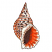 C1: Shell---Muslin(Isacord 40 #1082)&#13;&#10;C2: Shell Shading & Coloration---Apricot(Isacord 40 #1238)&#13;&#10;C3: Shell Shading & Coloration---Copper(Isacord 40 #1158)&#13;&#10;C4: Shading inside Shell---Red Pepper(Isacord 40 #1078)&#13;&#10;C5: Shell
