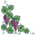 C1: Grapes---Wild Iris(Isacord 40 #1032)
C2: Grape Highlights---Cachet(Isacord 40 #1080)
C3: Leaves---Kiwi(Isacord 40 #1104)
C4: Leaf Shading---Lime(Isacord 40 #1176)
C5: Leaf Outlines---Bright Green(Isacord 40 #1232)&#