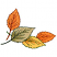 C1: Leaf---Yellow Bird(Isacord 40 #1124)&#13;&#10;C2: Leaf Shading & Leaves---Apricot(Isacord 40 #1238)&#13;&#10;C3: Leaf Shading---Autumn Leaf(Isacord 40 #1126)&#13;&#10;C4: Leaf Shading---Clay(Isacord 40 #1021)&#13;&#10;C5: Leaf---Old Gold(Isacord 40 #1