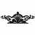 C1: One Color Design---Black(Isacord 40 #1234)