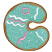 C1: Cookie ---Sisal(Isacord 40 #1055)
C2: Cookie Shading---Golden Grain(Isacord 40 #1126)
C3: Icing---Bottle Green(Isacord 40 #1045)
C4: Stripes & Sprinkles---White(Isacord 40 #1002)
C5: Star & Stripes---Soft Pink(Isaco