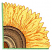 C1: Petals---Daffodil(Isacord 40 #1135)
C2: Petals Shading---Citrus(Isacord 40 #1187)
C3: Petals Shading---Clay(Isacord 40 #1021)
C4: Petals Shading---Pumpkin(Isacord 40 #1168)
C5: Petals Shading & Outlines---Harvest(Is