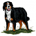 C1: Tan on Legs, Chest, & Face---Ashley Gold(Isacord 40 #1025)
C2: Legs, Chest, & Face Shading---Rust(Isacord 40 #1058)
C3: Dark Fur---Black(Isacord 40 #1234)
C4: Eyes & White on Chest & Face---White(Isacord 40 #1002)
C