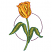 C1: Leaves & Stem---Pear(Isacord 40 #1049)
C2: Leaves & Stem Highlights---Citrus(Isacord 40 #1187)
C3: Leaves & Stem Outlines---Swiss Ivy(Isacord 40 #1079)
C4: Border---Pansy(Isacord 40 #1255)
C5: Tulip---Citrus(Isacord