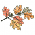 C1: Brown Leaf & Acorns---Ivory(Isacord 40 #1149)&#13;&#10;C2: Brown Leaf Shading---Taupe(Isacord 40 #1179)&#13;&#10;C3: Red Leaves---Coral(Isacord 40 #1019)&#13;&#10;C4: Red Leaf Shading---Flamingo(Isacord 40 #1020)&#13;&#10;C5: Orange Leaves---Shrimp(Is