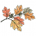 C1: Brown Leaf & Acorns---Ivory(Isacord 40 #1149)
C2: Brown Leaf Shading---Taupe(Isacord 40 #1179)
C3: Red Leaves---Coral(Isacord 40 #1019)
C4: Red Leaf Shading---Flamingo(Isacord 40 #1020)
C5: Orange Leaves---Shrimp(Is