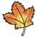 C1: Leaf---Buttercup(Isacord 40 #1135)&#13;&#10;C2: Leaf Shading---Apricot(Isacord 40 #1238)&#13;&#10;C3: Leaf Dark Shading---Geranium(Isacord 40 #1039)&#13;&#10;C4: Leaf Light Shading---Honey Gold(Isacord 40 #1025)&#13;&#10;C5: Leaf Outlines---Espresso(I