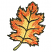 C1: Leaf---Buttercup(Isacord 40 #1135)&#13;&#10;C2: Leaf Shading---Apricot(Isacord 40 #1238)&#13;&#10;C3: Leaf Dark Shading---Geranium(Isacord 40 #1039)&#13;&#10;C4: Leaf Light Shading---Honey Gold(Isacord 40 #1025)&#13;&#10;C5: Leaf Outlines---Espresso(I