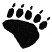 C1: Black Bear Print---Black(Isacord 40 #1234)