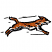 C1: Nose & Belly---White(Isacord 40 #1002)
C2: Dog---Copper(Isacord 40 #1158)
C3: Dog Outlines---Black(Isacord 40 #1234)