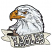 C1: Beak & Eye---Honey Gold(Isacord 40 #1025)
C2: Beak & Eye Shading---Autumn Leaf(Isacord 40 #1126)
C3: Bottom Feathers---Taupe(Isacord 40 #1179)
C4: Eagle---White(Isacord 40 #1002)
C5: Eagles Dark Shading---Sterling(I