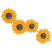 C1: Sunflowers---Goldenrod(Isacord 40 #1137)
C2: Flower Center---Khaki(Isacord 40 #1179)
C3: Flower Center Shading & Outline---Pine Bark(Isacord 40 #1170)