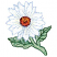 C1: Leaves---Jalapeno(Isacord 40 #1104)&#13;&#10;C2: Flower---White(Isacord 40 #1002)&#13;&#10;C3: Stamen---Harvest(Isacord 40 #1021)&#13;&#10;C4: Leaf Shading---Kiwi(Isacord 40 #1104)&#13;&#10;C5: Flower Shading---Buttercream(Isacord 40 #1022)&#13;&#10;C