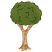 C1: Trunk---Old Gold(Isacord 40 #1055)
C2: Trunk Outlines---Redwood(Isacord 40 #1057)
C3: Leaves---Lima Bean(Isacord 40 #1177)
C4: Leaf Outlines---Deep Green(Isacord 40 #1174)