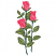 C1: Petals---Soft Pink(Isacord 40 #1224)
C2: Petals Shading---Garden Rose(Isacord 40 #1109)
C3: Leaves---Kiwi(Isacord 40 #1104)
C4: Leaf Shading & Stems---Swiss Ivy(Isacord 40 #1079)