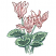 C1: Leaves & Stems---Spring Frost(Isacord 40 #1047)
C2: Leaf & Stem Shading---Willow(Isacord 40 #1212)
C3: Leaf & Stem Outines---Field Green(Isacord 40 #1517)
C4: Flowers---White(Isacord 40 #1002)
C5: Flower Shading---H