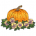C1: Stem---Ivory(Isacord 40 #1149)
C2: Stem Shading---Pecan(Isacord 40 #1128)
C3: Pumpkin---Goldenrod(Isacord 40 #1137)
C4: Pumpkin Shading---Lemon(Isacord 40 #1167)
C5: Pumpkin Shading---Pumpkin(Isacord 40 #1168)&