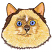 C1: Eyes ---Celestial(Isacord 40 #1028)&#13;&#10;C2: Eye Highlights---River Mist(Isacord 40 #1248)&#13;&#10;C3: Ears---Coral(Isacord 40 #1019)&#13;&#10;C4: Fur---Shrimp Pink(Isacord 40 #1017)&#13;&#10;C5: Shading---Flax(Isacord 40 #1055)&#13;&#10;C6: Shad