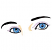 C1: Skin---Meringue(Isacord 40 #1017)
C2: Eye Whites---White(Isacord 40 #1002)
C3: Iris---Crystal Blue(Isacord 40 #1249)
C4: Iris Shading---Reef Blue(Isacord 40 #1196)
C5: Iris Highlights---Oxford(Isacord 40 #1222)
