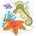 C1: Water Lines---Aqua(Isacord 40 #1204)
C2: Seaweeds---Silver Sage(Isacord 40 #1045)
C3: Seaweed Outlines & Sea Bottom---Baccarat Green(Isacord 40 #1046)
C4: Seahorse Body, Fins & Starfish---Daffodil(Isacord 40 #1135)
