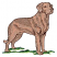 C1: Nose---Taupe(Isacord 40 #1179)
C2: Dog---Tan(Isacord 40 #1054)
C3: Dog Shading---Gravel(Isacord 40 #1179)
C4: Dog Shading---Bark(Isacord 40 #1186)
C5: Dog Outlines---Chocolate(Isacord 40 #1059)
C6: Light Gr