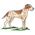 C1: Dog---Muslin(Isacord 40 #1082)
C2: Shading---Vanilla(Isacord 40 #1022)
C3: Shading---Cornsilk(Isacord 40 #1055)
C4: Nose---Baguette(Isacord 40 #1229)
C5: Spots---Toffee(Isacord 40 #1126)
C6: Outlines---Pine