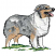 C1: Tongue---Pink Tulip(Isacord 40 #1115)&#13;&#10;C2: Dog---White(Isacord 40 #1002)&#13;&#10;C3: Dog---Old Gold(Isacord 40 #1055)&#13;&#10;C4: Shading---Sterling(Isacord 40 #1011)&#13;&#10;C5: Dark Shading---Whale(Isacord 40 #1041)&#13;&#10;C6: Outlines-