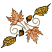 C1: Swirls---Carmel Cream(Isacord 40 #1128)
C2: Maple Leaves---Shrimp(Isacord 40 #1258)
C3: Maple Leaf Shading---Tangerine(Isacord 40 #1078)
C4: Maple Leaf Outlines---Espresso(Isacord 40 #1214)
C5: Acorns---Autumn Leaf(