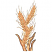 C1: Wheat Silk---Honey Gold(Isacord 40 #1025)
C2: Wheat & Leaf---Parchment(Isacord 40 #1066)
C3: Wheat & Leaf Shading---Candlelight(Isacord 40 #1137)
C4: Leaves Outlines---Autumn Leaf(Isacord 40 #1126)