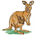C1: Kangaroo Inside Ear, Nose & Inside Mouth---Khaki(Isacord 40 #1179)&#13;&#10;C2: Kangaroo---Toffee(Isacord 40 #1126)&#13;&#10;C3: Kangaroo Light Shading---Vanilla(Isacord 40 #1022)&#13;&#10;C4: Kangaroo Dark Shading---Ashley Gold(Isacord 40 #1025)&#13;