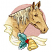 C1: Background---Teaberry(Isacord 40 #1213)
C2: Fur---Cornsilk(Isacord 40 #1055)
C3: Fur Shading---Sisal(Isacord 40 #1055)
C4: Mane---Lemon Frost(Isacord 40 #1022)
C5: Mane Shading---Old Gold(Isacord 40 #1055)
