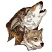 C1: Fur---Eggshell(Isacord 40 #1071)
C2: Fur Shading---Sisal(Isacord 40 #1055)
C3: Pup Fur Shading---Meringue(Isacord 40 #1017)
C4: Fur Shading---Wild Rice(Isacord 40 #1180)
C5: Fur Shading---Pine Bark(Isacord 40 #1170)