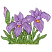 C1: Flower Bud---Impatience(Isacord 40 #1111)
C2: Bud Shading---Wild Iris(Isacord 40 #1032)
C3: Leaves---Bright Mint(Isacord 40 #1510)
C4: Leaf Shading---Lima Bean(Isacord 40 #1177)
C5: Leaf Outlines---Grasshopper(Isaco