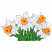 C1: Leaves---Pear(Isacord 40 #1049)
C2: Leaf Shading---Ming(Isacord 40 #1049)
C3: Leaf Outlines---Bright Green(Isacord 40 #1232)
C4: Daffodils---White(Isacord 40 #1002)
C5: Daffodil Shading---Skylight(Isacord 40 #1011)&