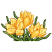 C1: Leaves & Stems---Kiwi(Isacord 40 #1104)
C2: Leaf & Stem Outlines---Backyard Green(Isacord 40 #1175)
C3: Leaf Shading---Grasshopper(Isacord 40 #1176)
C4: Petals---Daffodil(Isacord 40 #1135)
C5: Petal Shading---Bright