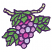 C1: Branch---Jalapeno(Isacord 40 #1104)&#13;&#10;C2: Grapes---Frosted Plum(Isacord 40 #1080)&#13;&#10;C3: Light Grapes---Stainless(Isacord 40 #1193)&#13;&#10;C4: Dark Grapes---Roseate(Isacord 40 #1033)&#13;&#10;C5: Leaves---Pear(Isacord 40 #1049)&#13;&#10