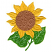 C1: Leaves---Green Grass(Isacord 40 #1051)&#13;&#10;C2: Leaf Outlines---Apple Green(Isacord 40 #1510)&#13;&#10;C3: Leaf Details---Spanish Moss(Isacord 40 #1063)&#13;&#10;C4: Sunflower Petals---Star Gold(Isacord 40 #1083)&#13;&#10;C5: Sunflower Center---Da