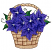 C1: Leaves---Emerald(Isacord 40 #1049)
C2: Leaf Shading---Bright Green(Isacord 40 #1232)
C3: Leaf Outlines---Backyard Green(Isacord 40 #1175)
C4: Basket---Oat(Isacord 40 #1127)
C5: Basket Shading---Pecan(Isacord 40 #112