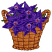 C1: Leaves---Lima Bean(Isacord 40 #1177)
C2: Leaf Shading---Green Dust(Isacord 40 #1174)
C3: Leaf Outlines---Backyard Green(Isacord 40 #1175)
C4: Basket---Toffee(Isacord 40 #1126)
C5: Basket Shading---Light Cocoa(Isacor