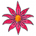 C1: Poinsettia---Garden Rose(Isacord 40 #1109)&#13;&#10;C2: Poinsettia Shading---Bright Ruby(Isacord 40 #1231)&#13;&#10;C3: Poinsettia Outlines---Field Green(Isacord 40 #1517)&#13;&#10;C4: Flower Center---Goldenrod(Isacord 40 #1137)&#13;&#10;C5: Center Sh