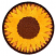 C1: Background---Penny(Isacord 40 #1057)
C2: Dark Petals---Candlelight(Isacord 40 #1137)
C3: Dark Petals---Autumn Leaf(Isacord 40 #1126)
C4: Light Petals---Bright Yellow(Isacord 40 #1124)
C5: Light Petal Shading---Citru