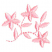 C1: Single Color Design---Pink Tulip(Isacord 40 #1115)
