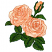 C1: Rose Bud---Shrimp(Isacord 40 #1258)&#13;&#10;C2: Rose Bud Light Shading---Parchment(Isacord 40 #1066)&#13;&#10;C3: Rose Bud Shading---Salmon(Isacord 40 #1259)&#13;&#10;C4: Bud Outlines---Apricot(Isacord 40 #1238)&#13;&#10;C5: Leaves---Lime(Isacord 40