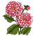 C1: Bud---Tropicana(Isacord 40 #1511)&#13;&#10;C2: Bud Shading---Pink Tulip(Isacord 40 #1115)&#13;&#10;C3: Bud Highlights---Bright Yellow(Isacord 40 #1124)&#13;&#10;C4: Bud Outlines---Raspberry(Isacord 40 #1511)&#13;&#10;C5: Leaves---Lima Bean(Isacord 40