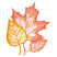 C1: Small Leaf Shading---Pink Clay(Isacord 40 #1019)
C2: Small Leaf Dark Shading---Melon(Isacord 40 #1259)
C3: Small Leaf Outlines---Salmon(Isacord 40 #1259)
C4: Large Leaf Dark Shading---Old Gold(Isacord 40 #1055)
C5: