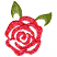 C1: Leaves---Lima Bean(Isacord 40 #1177)&#13;&#10;C2: Petals---Rose (variegated)(YLI Variations #)