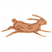 C1: Hare---Tan(Isacord 40 #1054)
C2: Hare Shading---Pecan(Isacord 40 #1128)